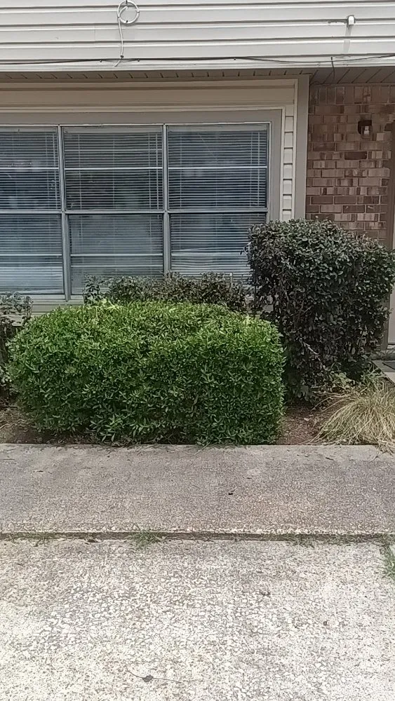 Custom garden landscaping in Spearsville, LA - Loyd Boyz Lawn Sevice