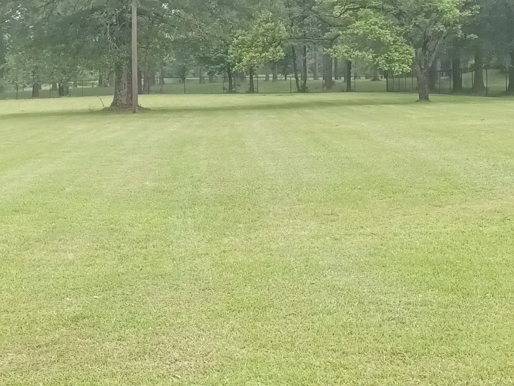Professional yard maintenance near you in Spearsville, LA by Loyd Boyz Lawn Sevice