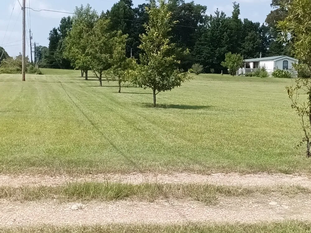 Trusted lawn care service in Spearsville, LA by Loyd Boyz Lawn Sevice