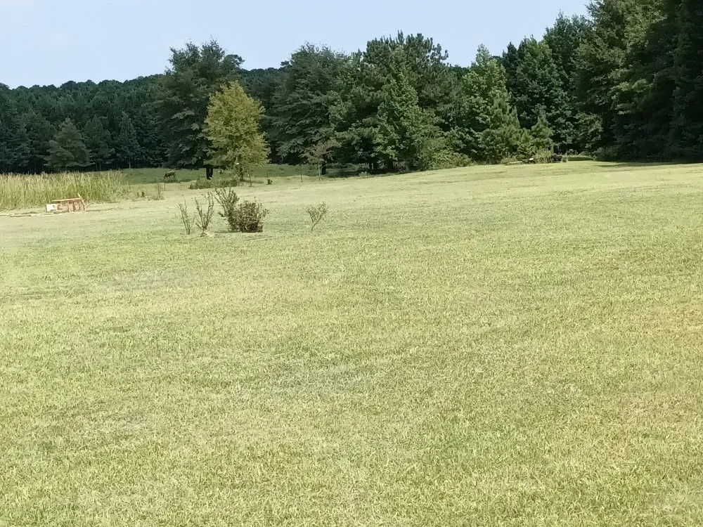 Expert residential landscaping for outdoor upgrades in Spearsville, LA by Loyd Boyz Lawn Sevice
