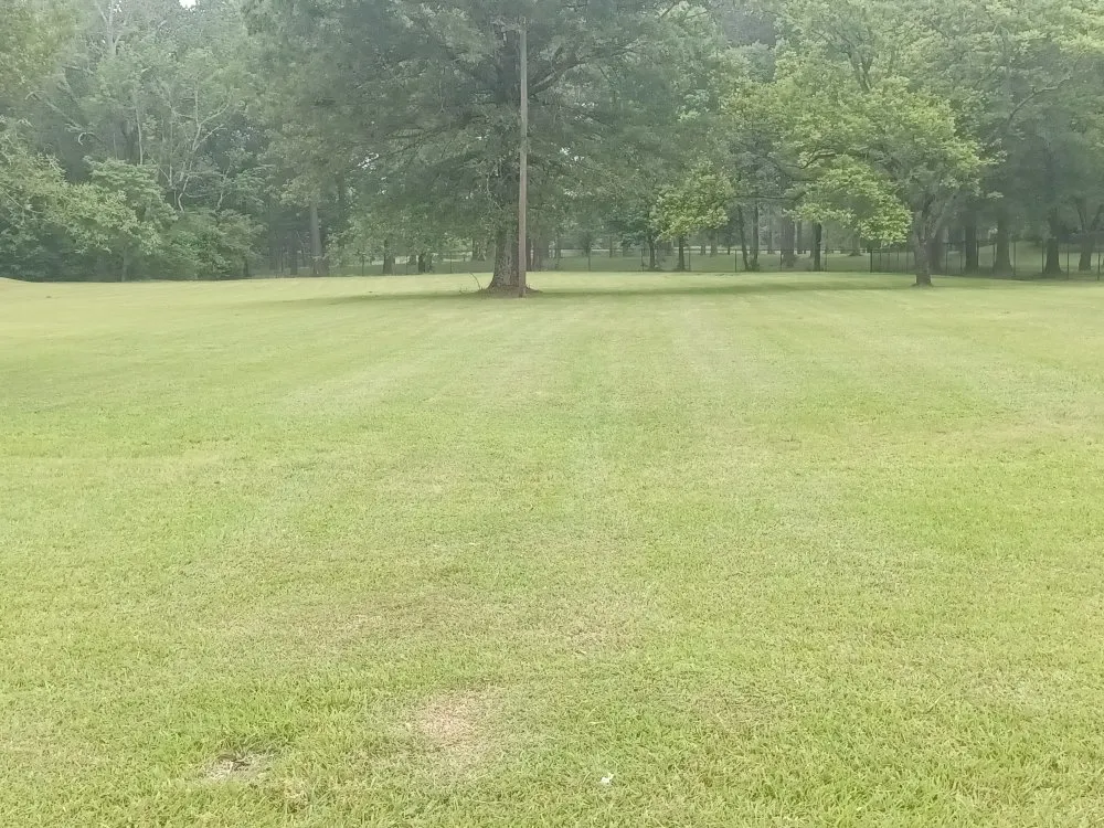 Reliable landscape installation in Spearsville, LA by Loyd Boyz Lawn Sevice