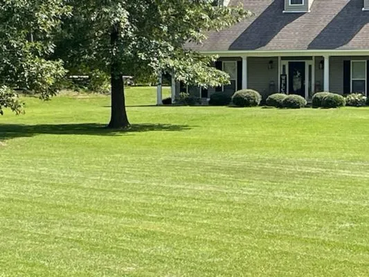 Loyd Boyz Lawn Sevice