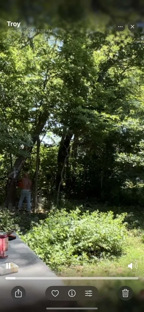 Custom landscaping services experts serving Troy, MO - Loyds Lawn Care