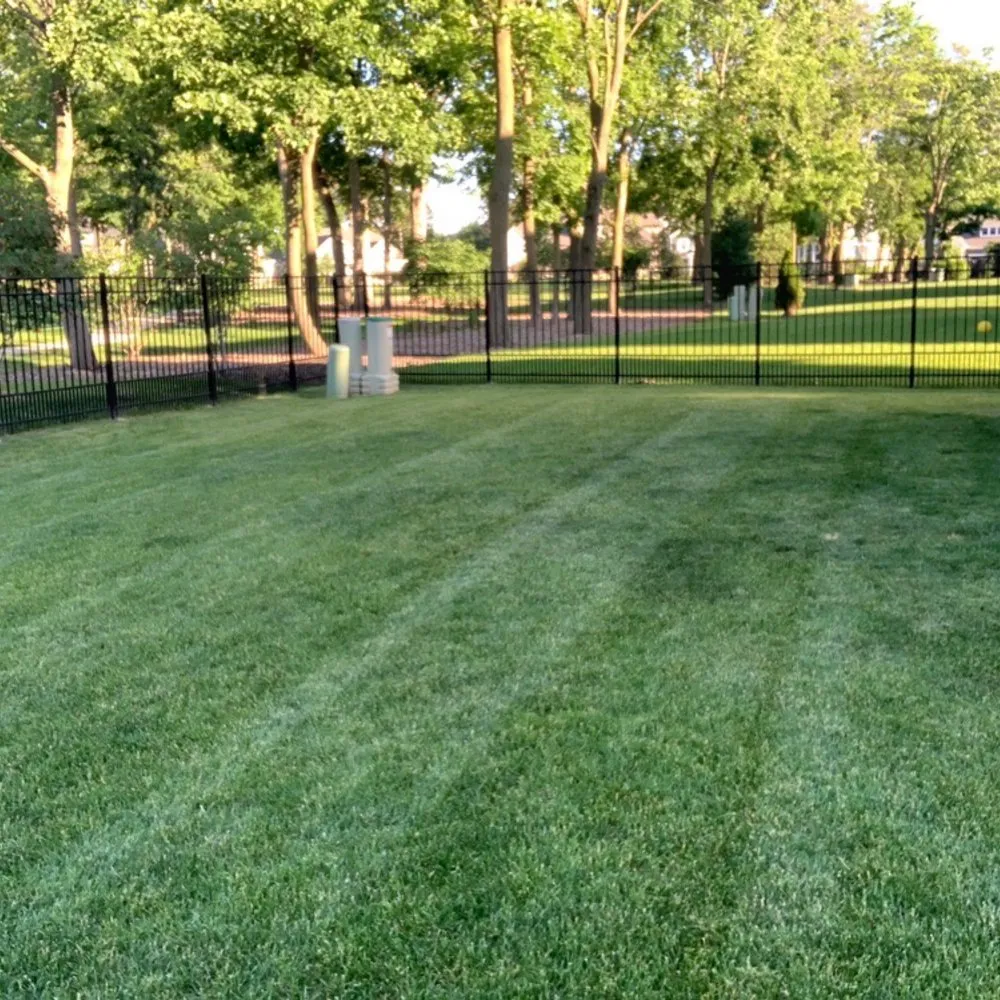 Affordable landscape installation for outdoor upgrades across Wheeling, IL - Loyola’s Landscaping