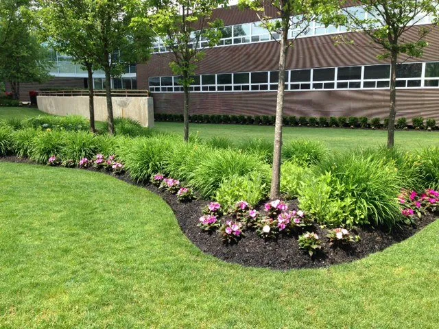 Affordable outdoor landscaping experts serving Wheeling, IL - Loyola’s Landscaping