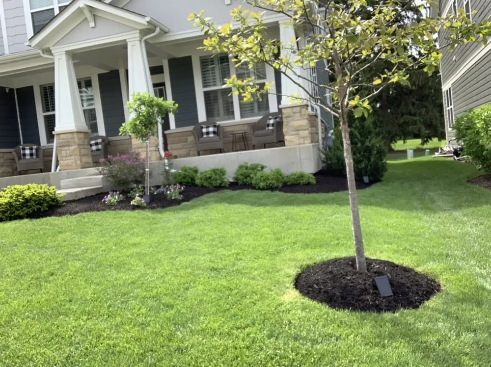 Professional yard cleanup service in Wheeling, IL - Loyola’s Landscaping