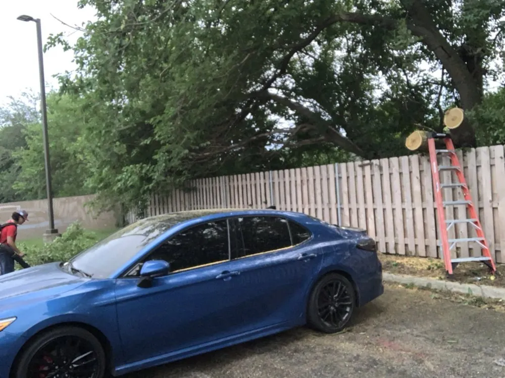 Expert yard cleanup service for beautiful yards across Wheeling, IL - Loyola’s Landscaping