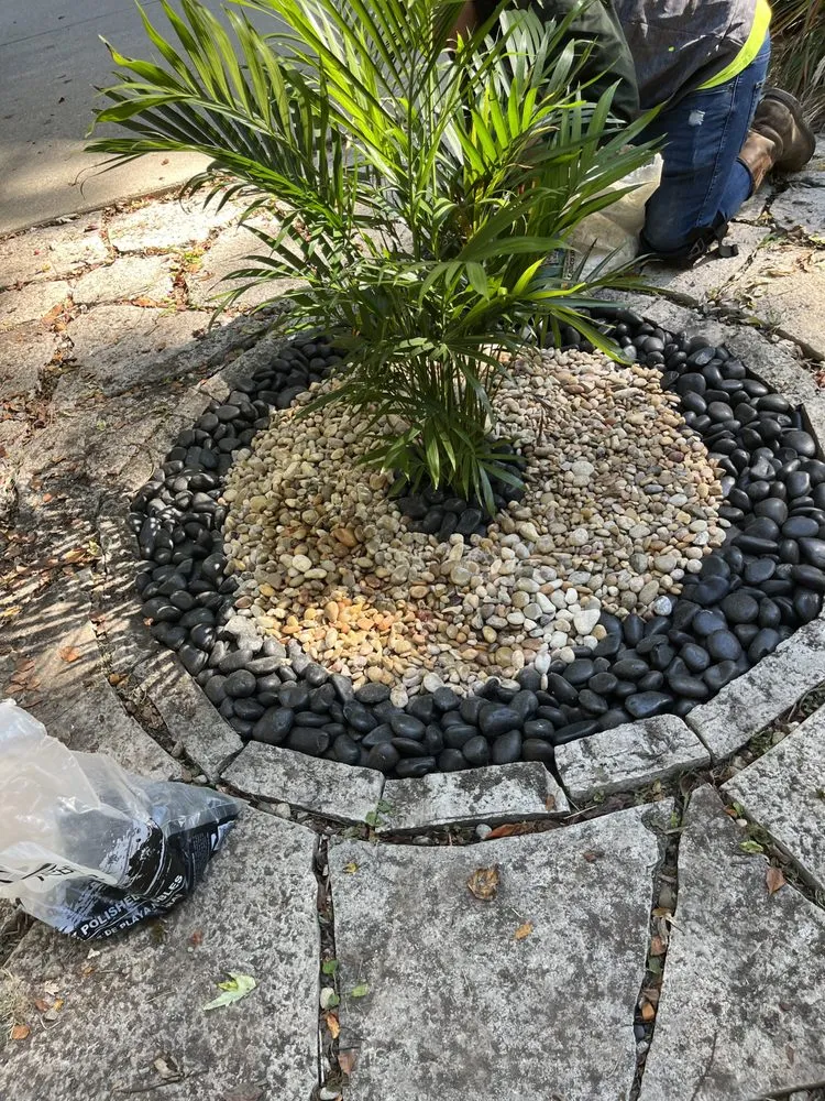 Top-rated landscaping services for residential properties across Colburn, IN - Loys Crisp Strips N Designs