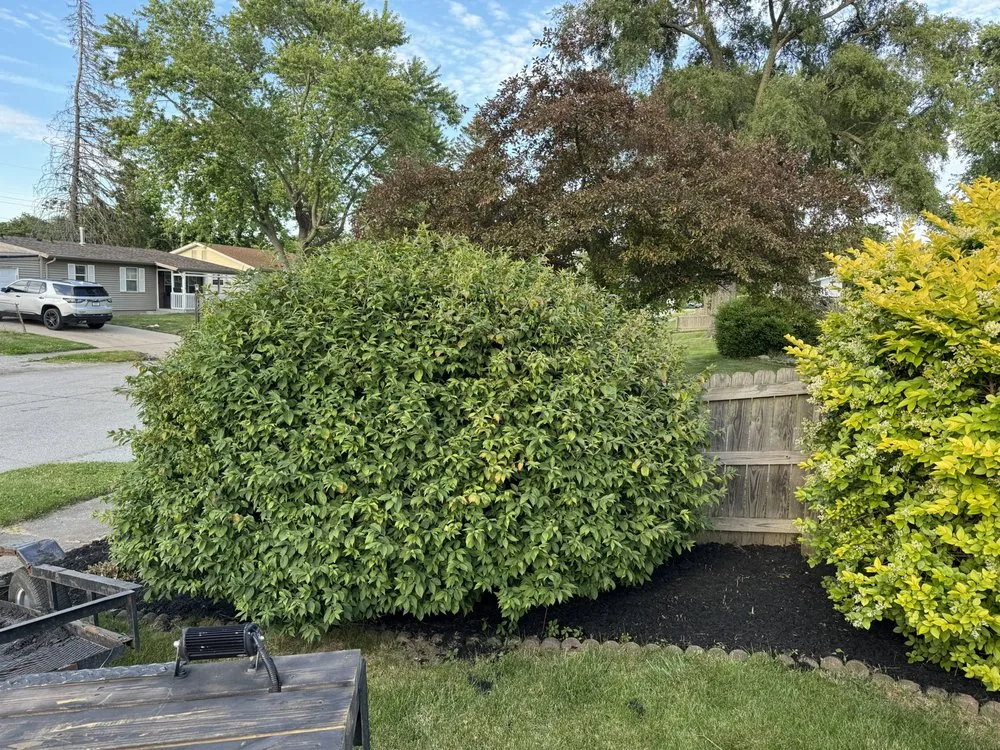 Custom garden landscaping for beautiful yards across Colburn, IN - Loys Crisp Strips N Designs