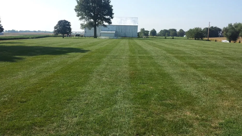 Top-rated garden landscaping in Platte City, MO by Loys Home Services