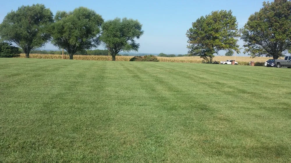 Reliable lawn care service experts serving Platte City, MO - Loys Home Services