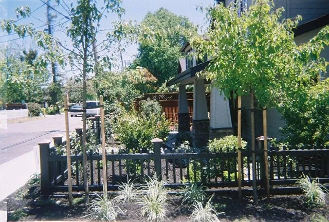 Trusted lawn mowing service experts serving San Leandro, CA - Loza & Sons General Construction