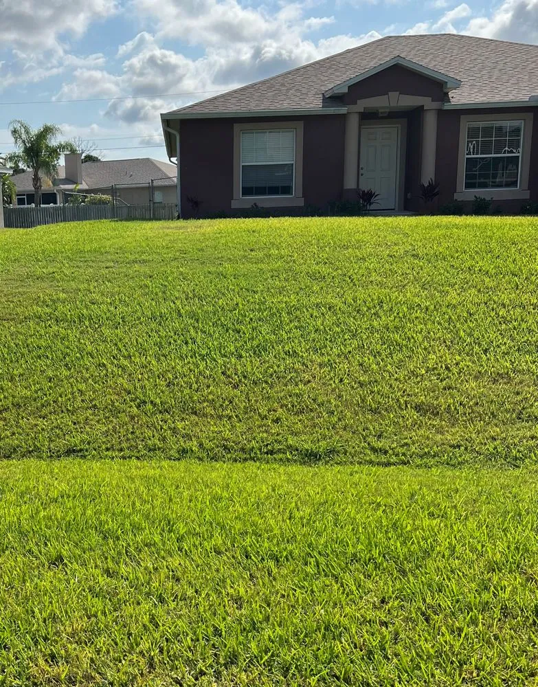 Expert landscape installation in Grant Valkaria, FL - Lozada Lawn Care