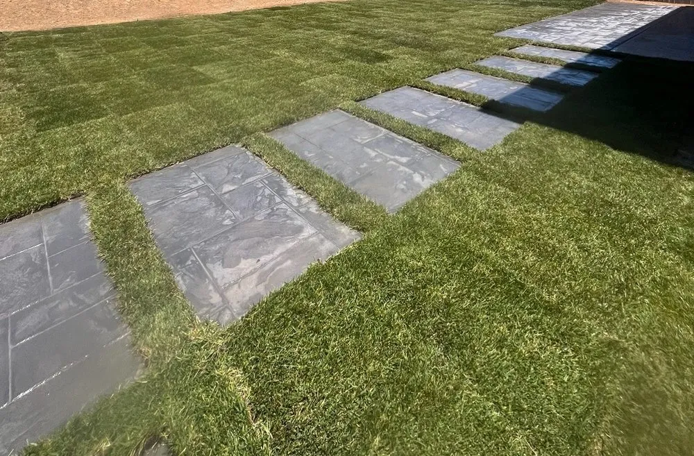 Reliable yard maintenance near you in Lodi, CA by Lozano Landscaping & Turf