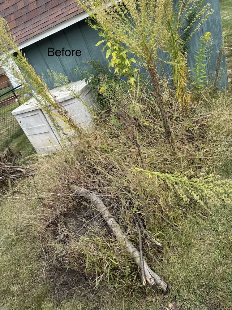 Affordable garden landscaping for homes in Marion, IN by Lozano Landscaping Innovations