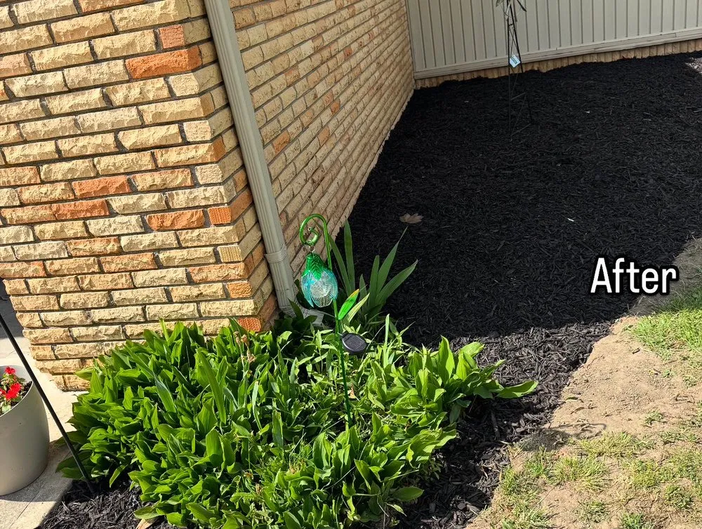 Local residential landscaping for year-round maintenance across Marion, IN - Lozano Landscaping Innovations
