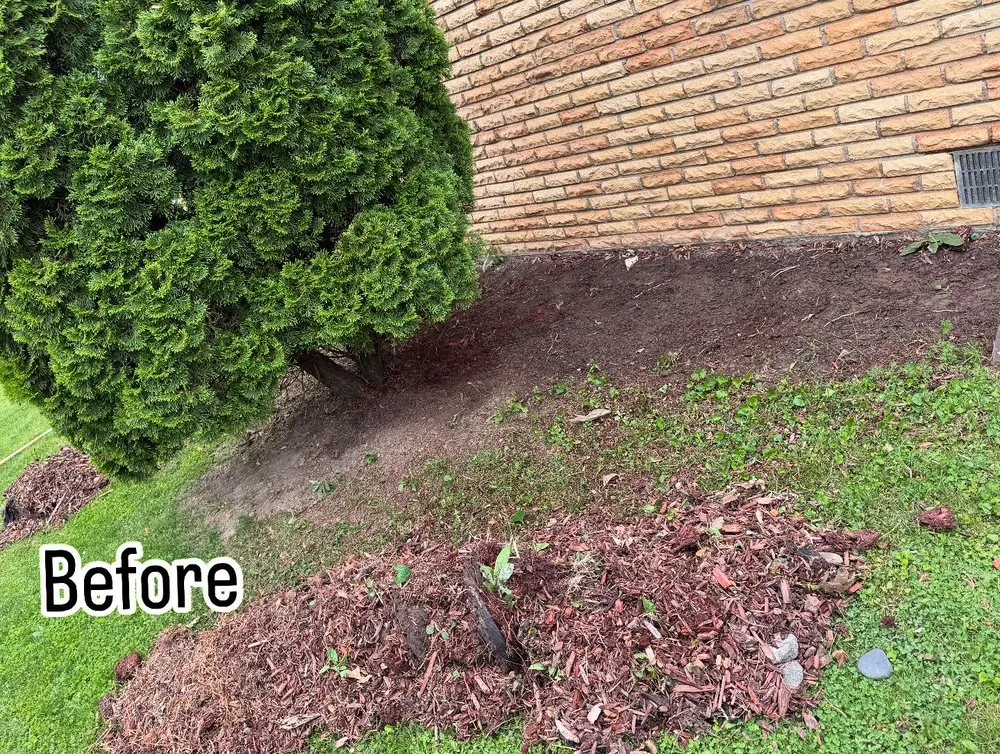 Expert outdoor landscaping experts serving Marion, IN - Lozano Landscaping Innovations