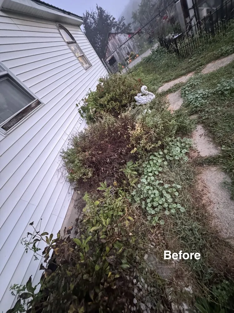 Top-rated residential landscaping in Marion, IN - Lozano Landscaping Innovations