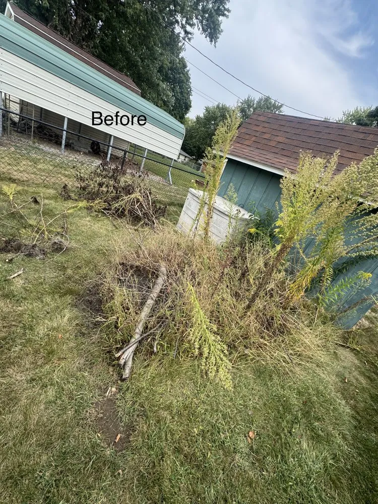 Reliable yard cleanup service in Marion, IN - Lozano Landscaping Innovations