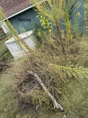 Lozano Landscaping Innovations Logo