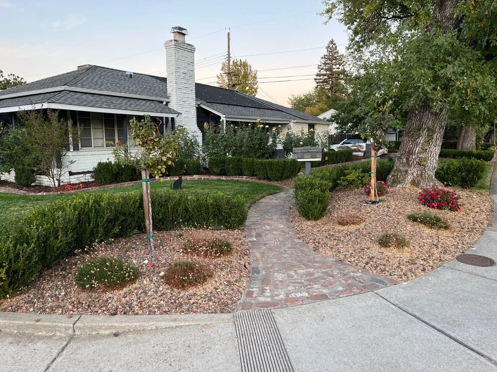 Reliable landscape installation for year-round maintenance in Sacramento, CA by Lozano Landscaping