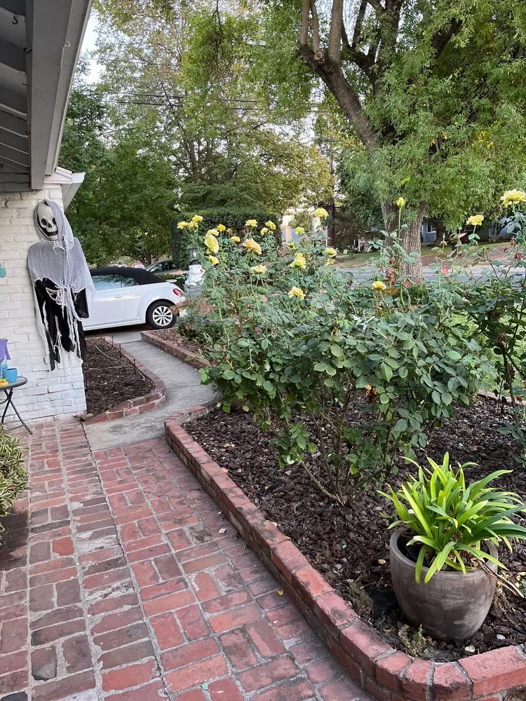 Top-rated landscape design near you in Sacramento, CA by Lozano Landscaping