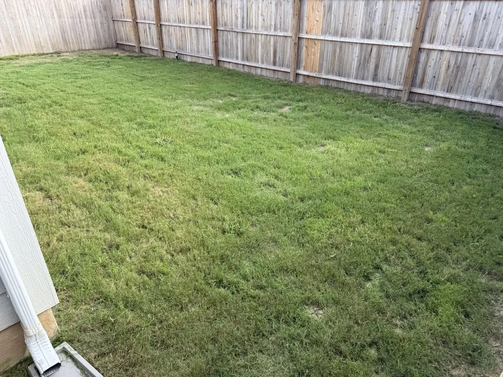 Affordable yard maintenance in San Antonio, TX - Lozano Landscaping