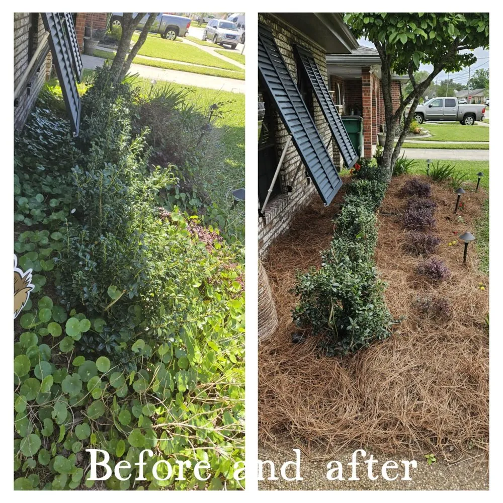 Affordable lawn care service experts serving Kenner, LA - Lozano Lawn and Landscaping