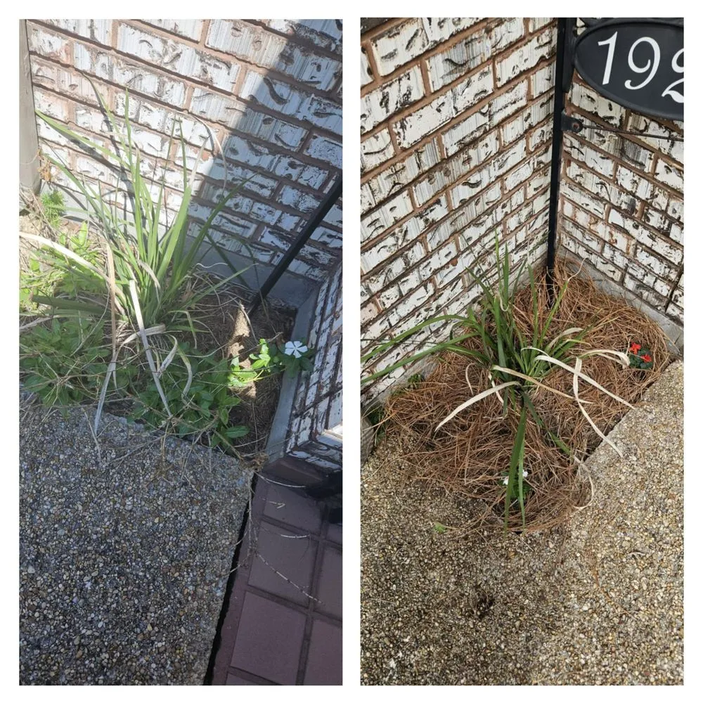 Expert landscape design in Kenner, LA - Lozano Lawn and Landscaping