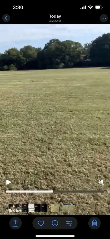 Affordable lawn care service for beautiful yards in Seagoville, TX by Lozano Lawn Service