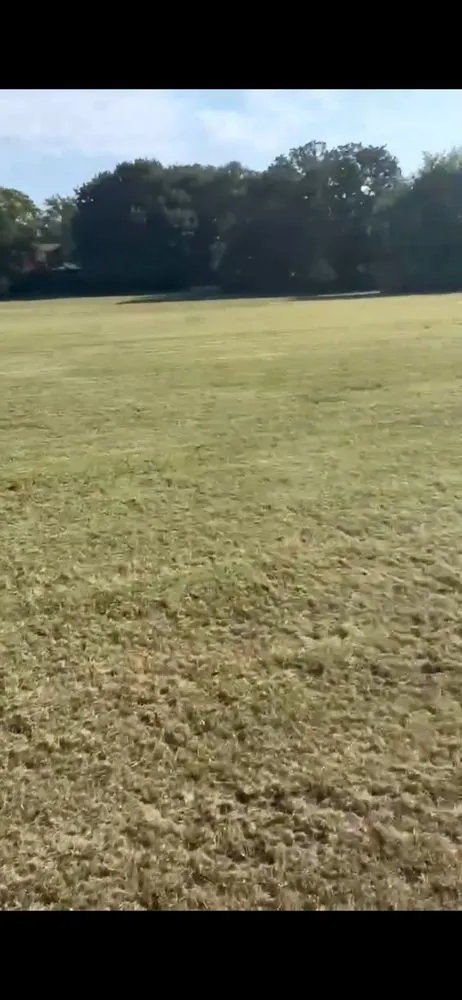 Affordable landscape design experts serving Seagoville, TX - Lozano Lawn Service