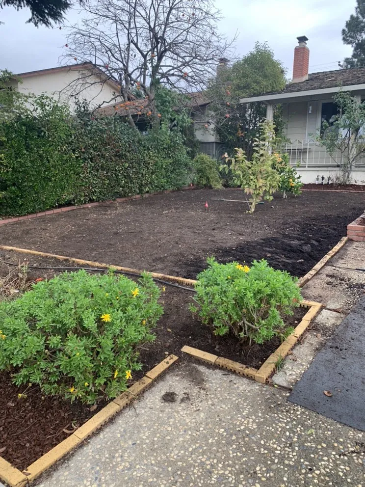 Top-rated garden landscaping experts serving San Jose, CA - Lozano Tree Services