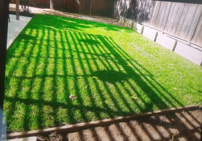 Custom residential landscaping for residential properties in San Jose, CA by Lozano Tree Services