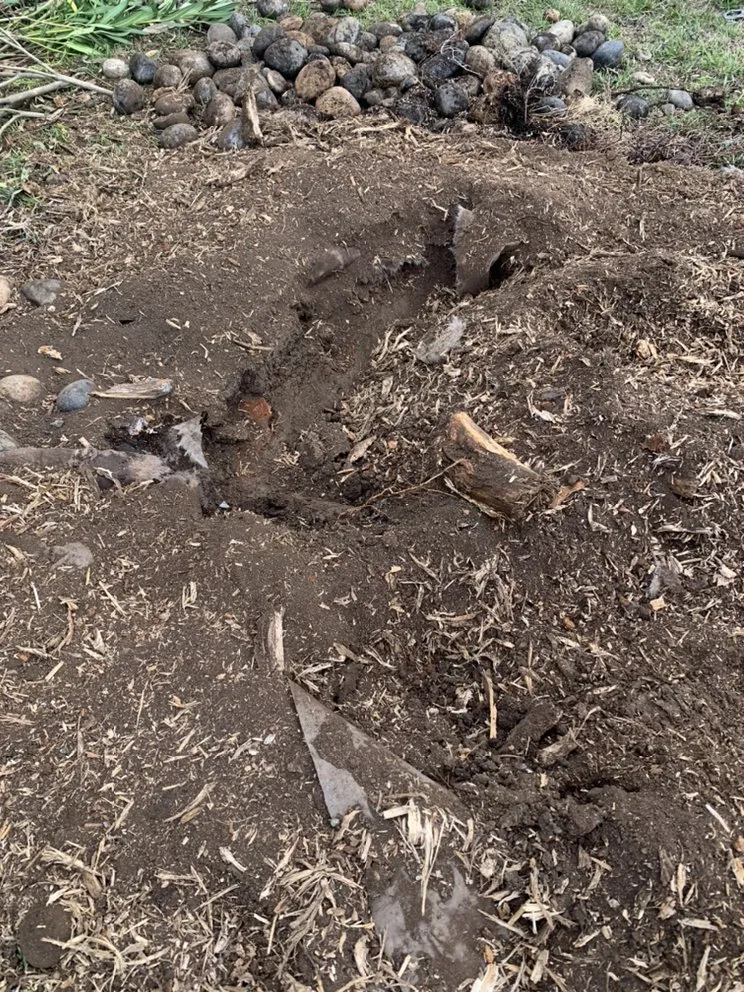 Top-rated outdoor landscaping in San Jose, CA - Lozano Tree Services