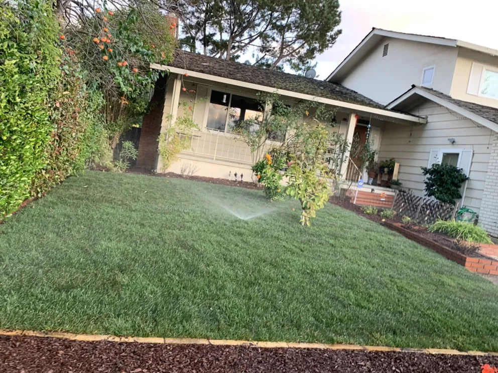 Trusted outdoor landscaping in San Jose, CA by Lozano Tree Services
