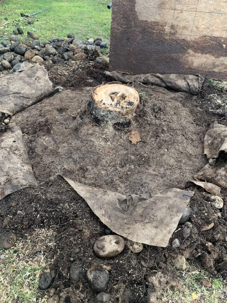 Trusted residential landscaping for homes across San Jose, CA - Lozano Tree Services