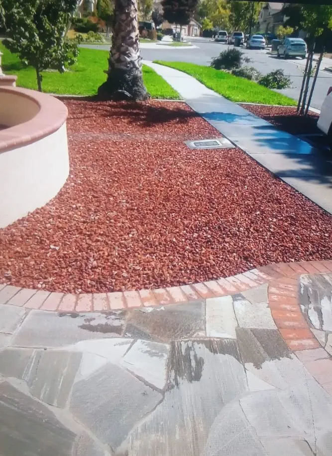 Reliable yard maintenance in San Jose, CA by Lozano Tree Services