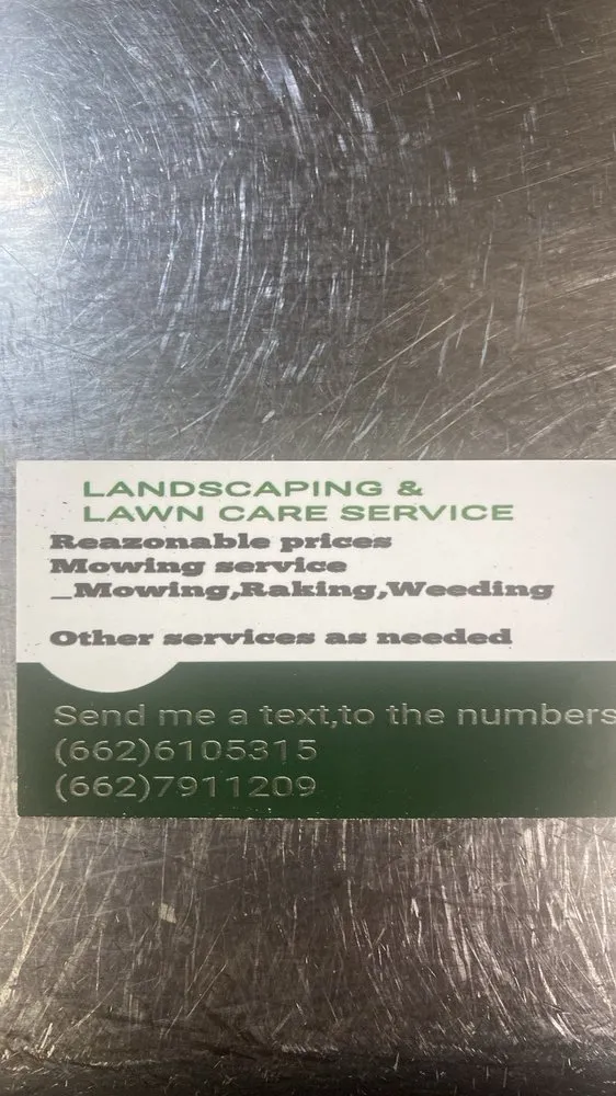 Affordable landscaping services in Booneville, MS by Lozanos Exterior Cleaning