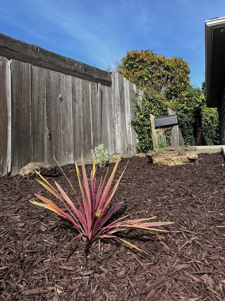 Professional landscaping services in Hayward, CA by Lozano's Landscape