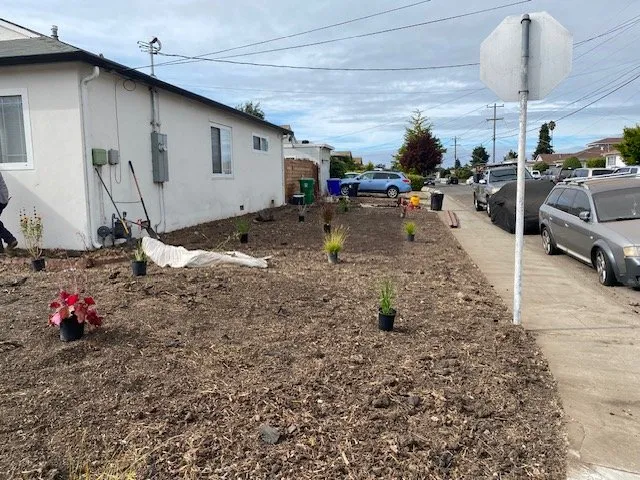 Expert yard maintenance for outdoor upgrades in Hayward, CA by Lozano's Landscape