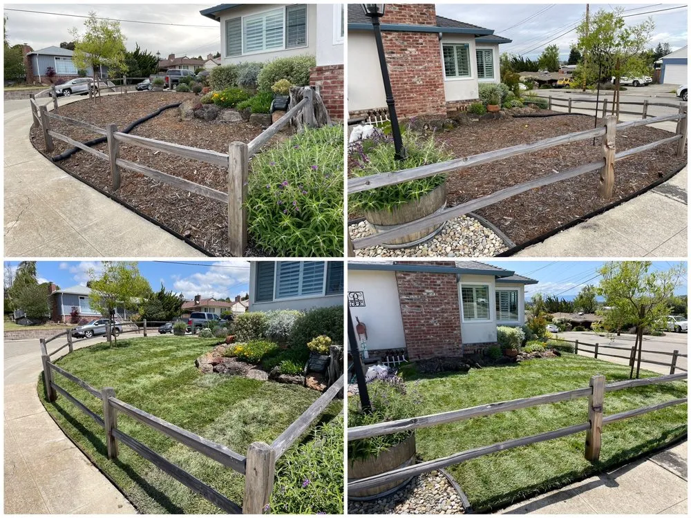 Top-rated landscape installation in Hayward, CA - Lozano's Landscape