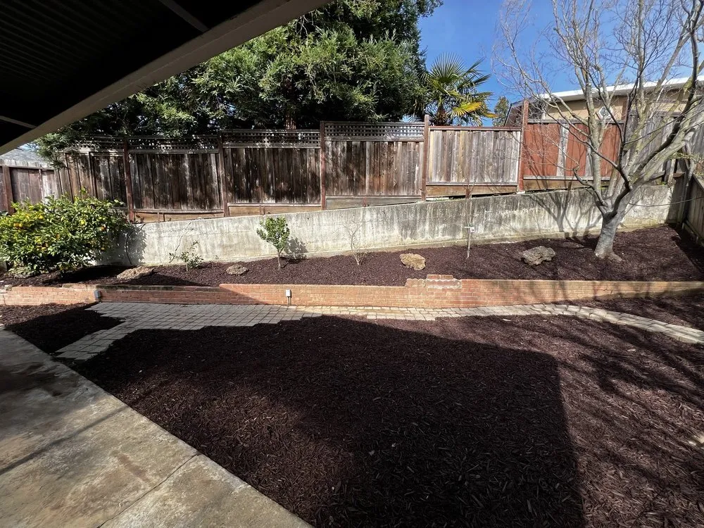 Expert yard cleanup service experts serving Hayward, CA - Lozano's Landscape