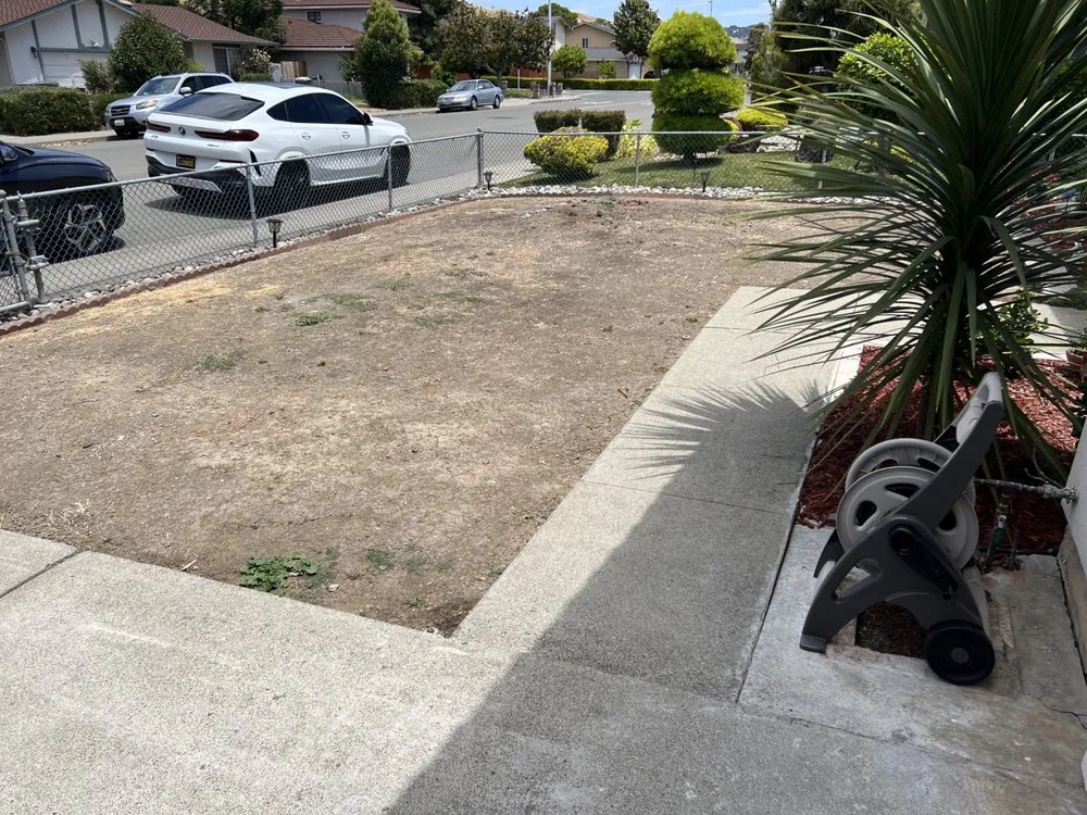 Affordable lawn mowing service for beautiful yards in Hayward, CA by Lozano's Landscape
