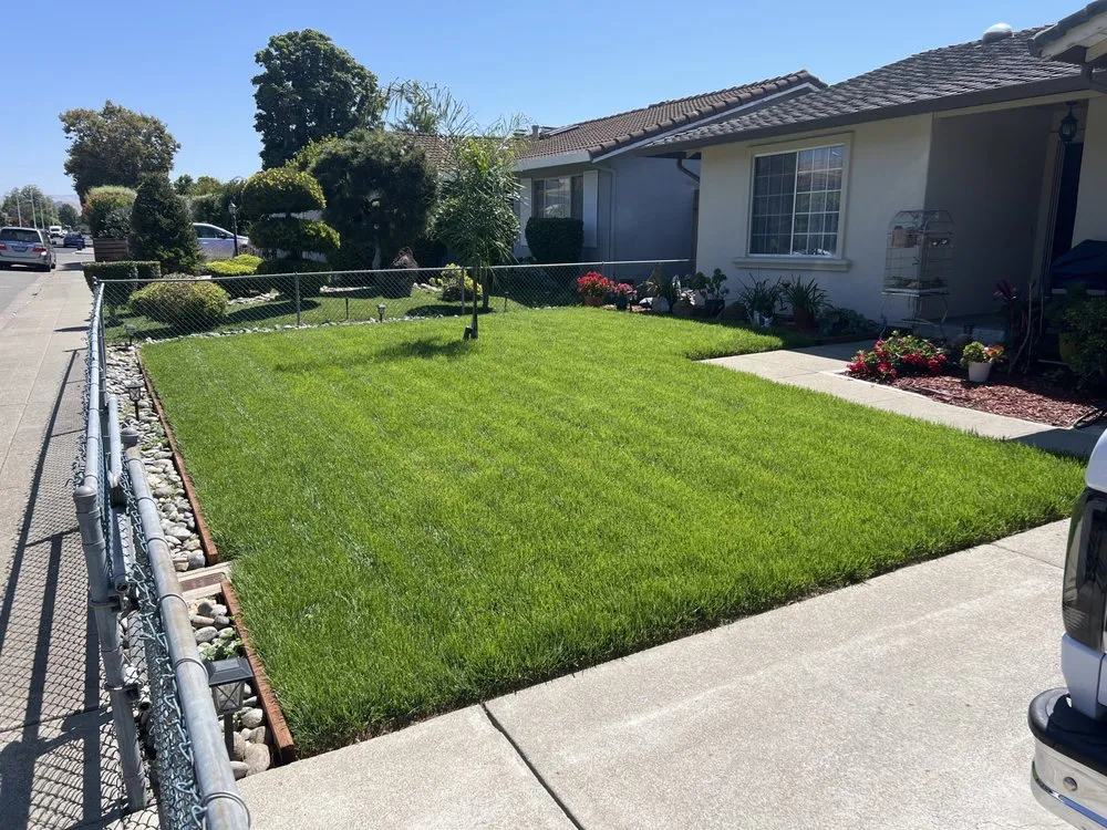 Trusted lawn care service in Hayward, CA by Lozano's Landscape