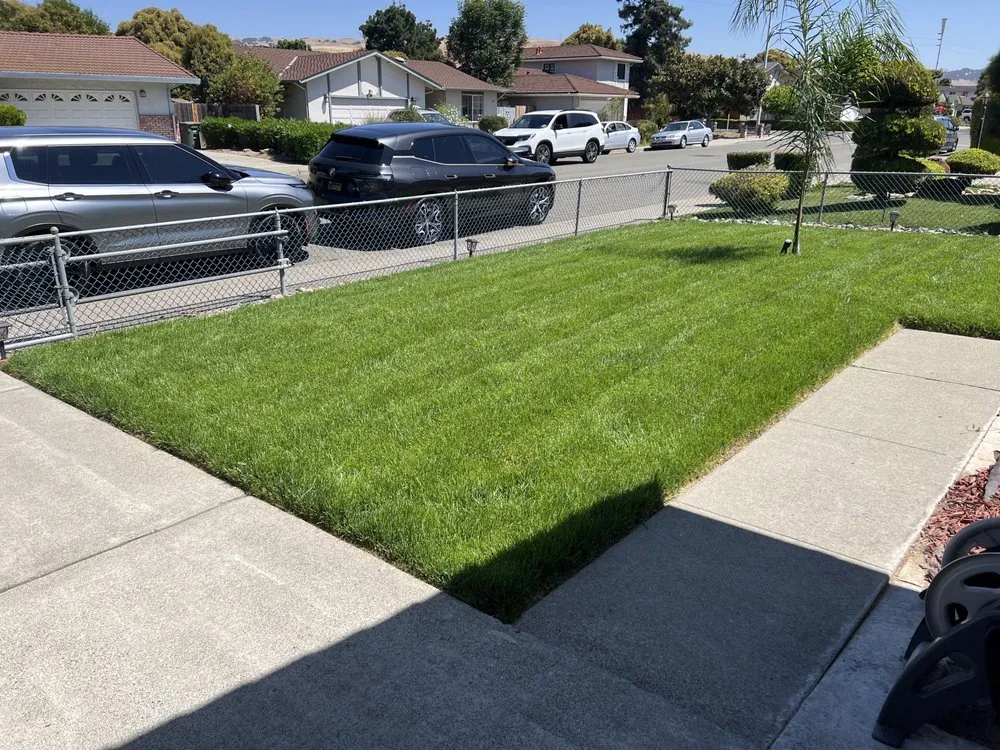 Professional lawn care service for beautiful yards in Hayward, CA by Lozano's Landscape