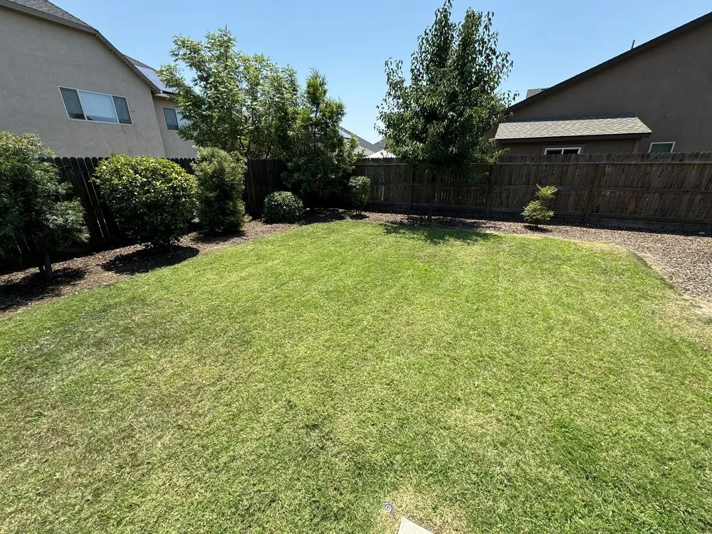 Affordable yard cleanup service for year-round maintenance in Fresno, CA by Lozano's Lawn Service