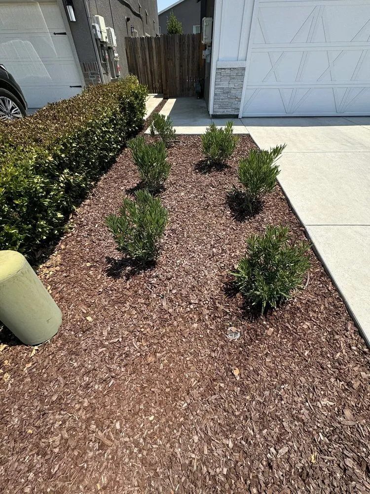 Reliable outdoor landscaping in Fresno, CA by Lozano's Lawn Service