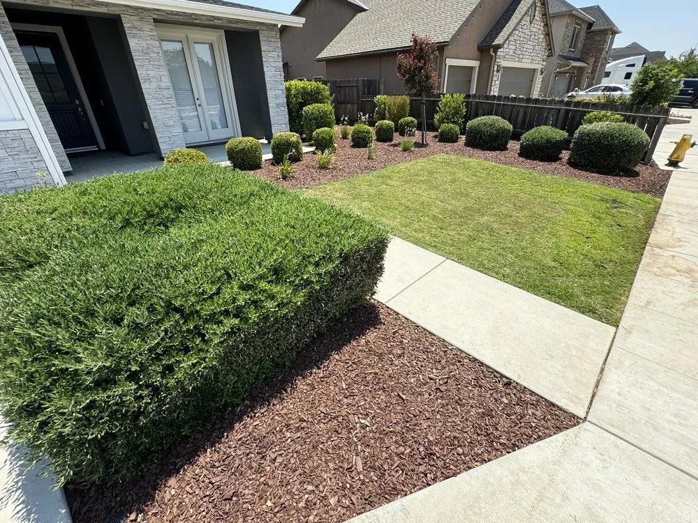 Top-rated yard cleanup service in Fresno, CA by Lozano's Lawn Service