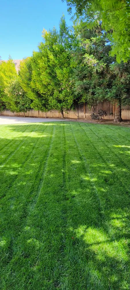 Local yard cleanup service near you in Fresno, CA by Lozano's Lawn Service