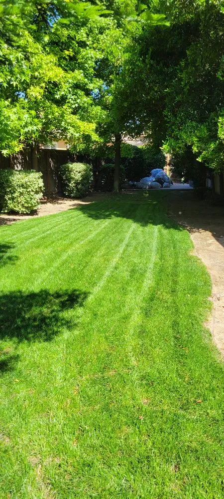Top-rated lawn care service with custom design across Fresno, CA - Lozano's Lawn Service